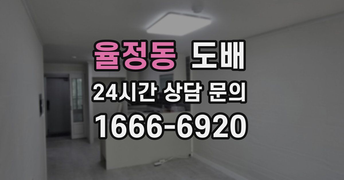 율정동 도배