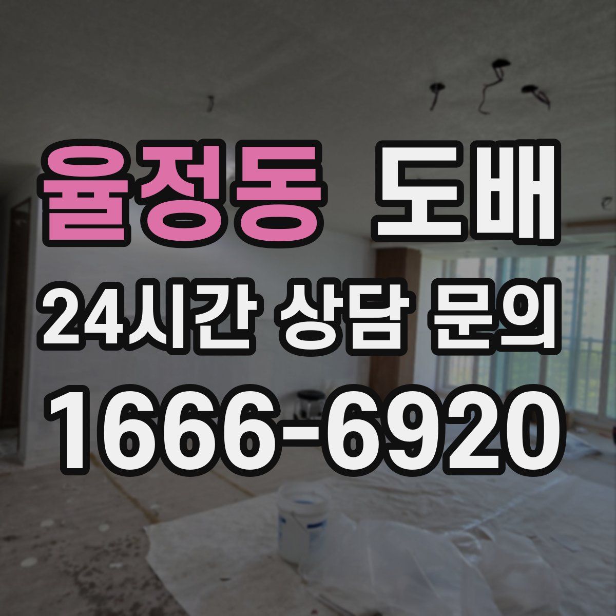율정동 도배