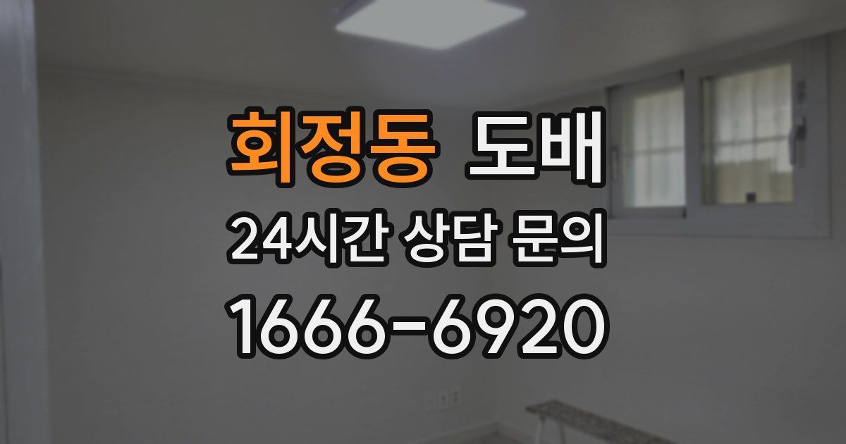 회정동 도배