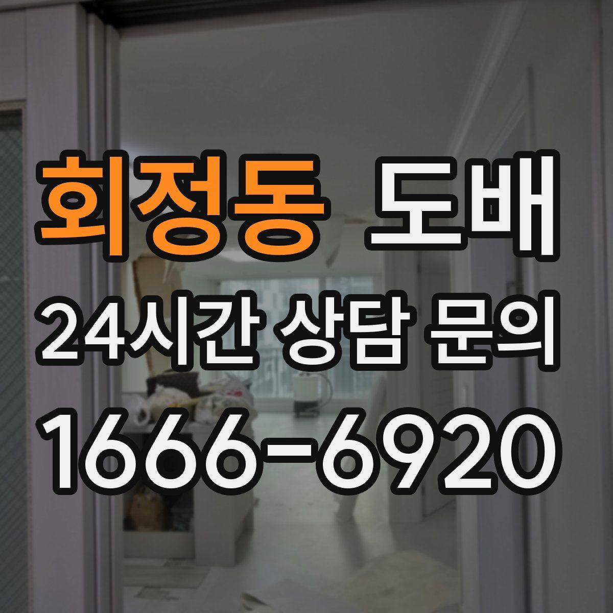 회정동 도배