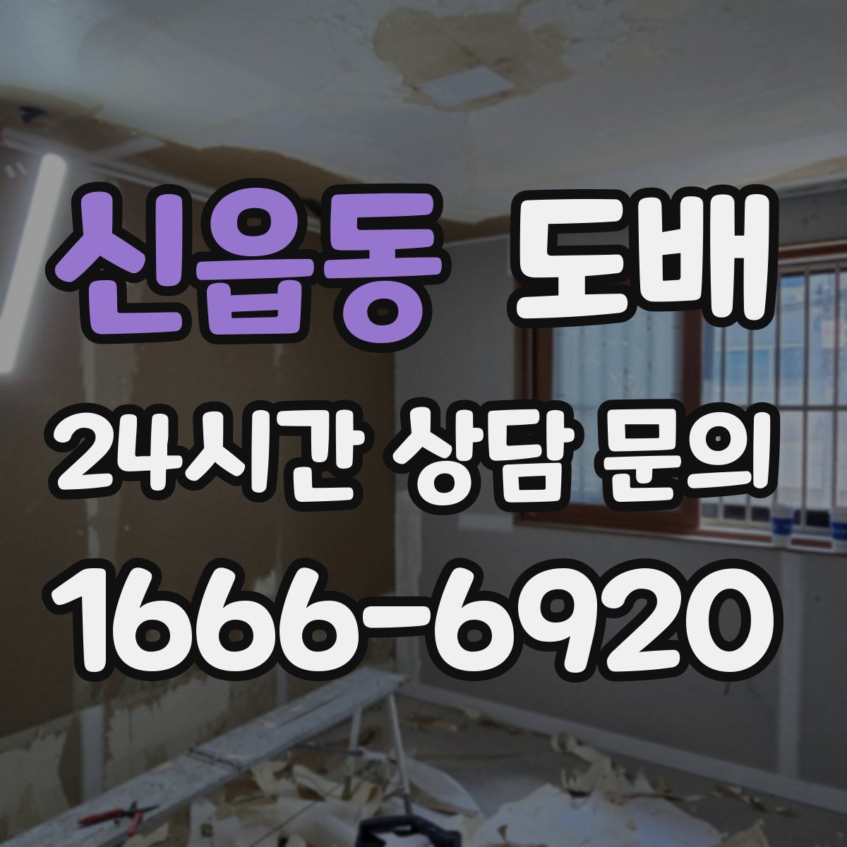 신읍동 도배