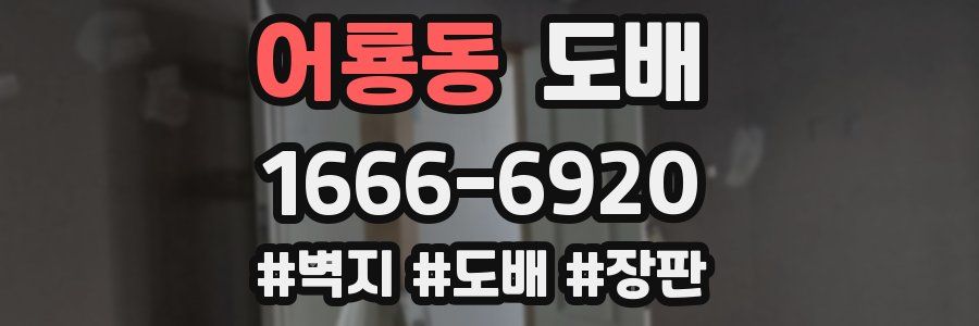 어룡동 도배
