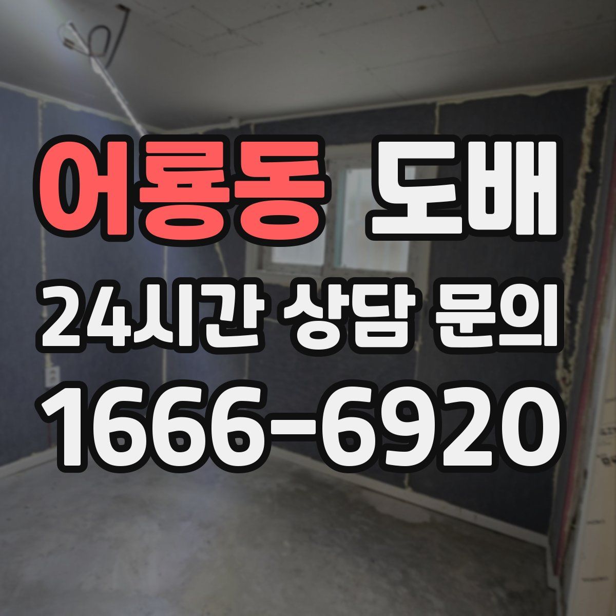 어룡동 도배
