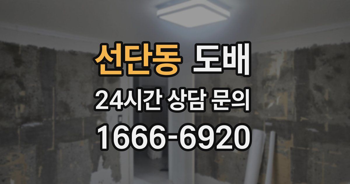 선단동 도배