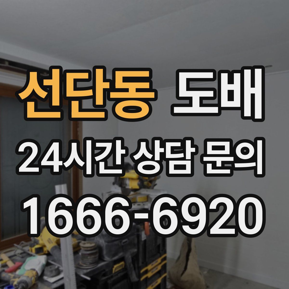 선단동 도배