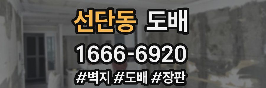 선단동 도배
