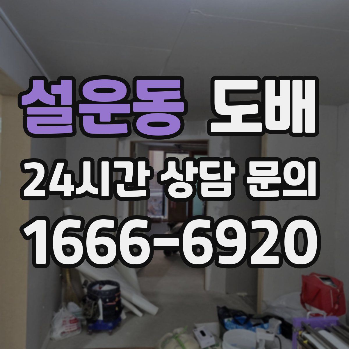 설운동 도배