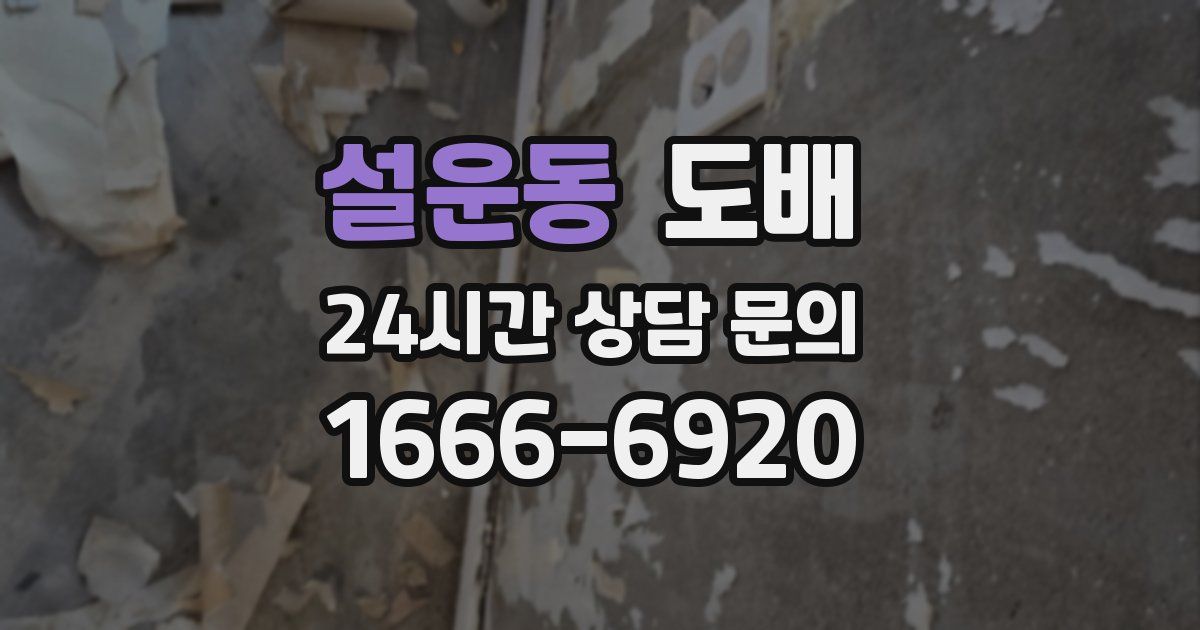 설운동 도배