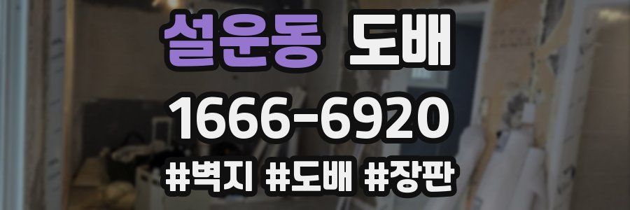설운동 도배