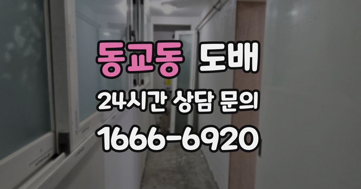 동교동 도배