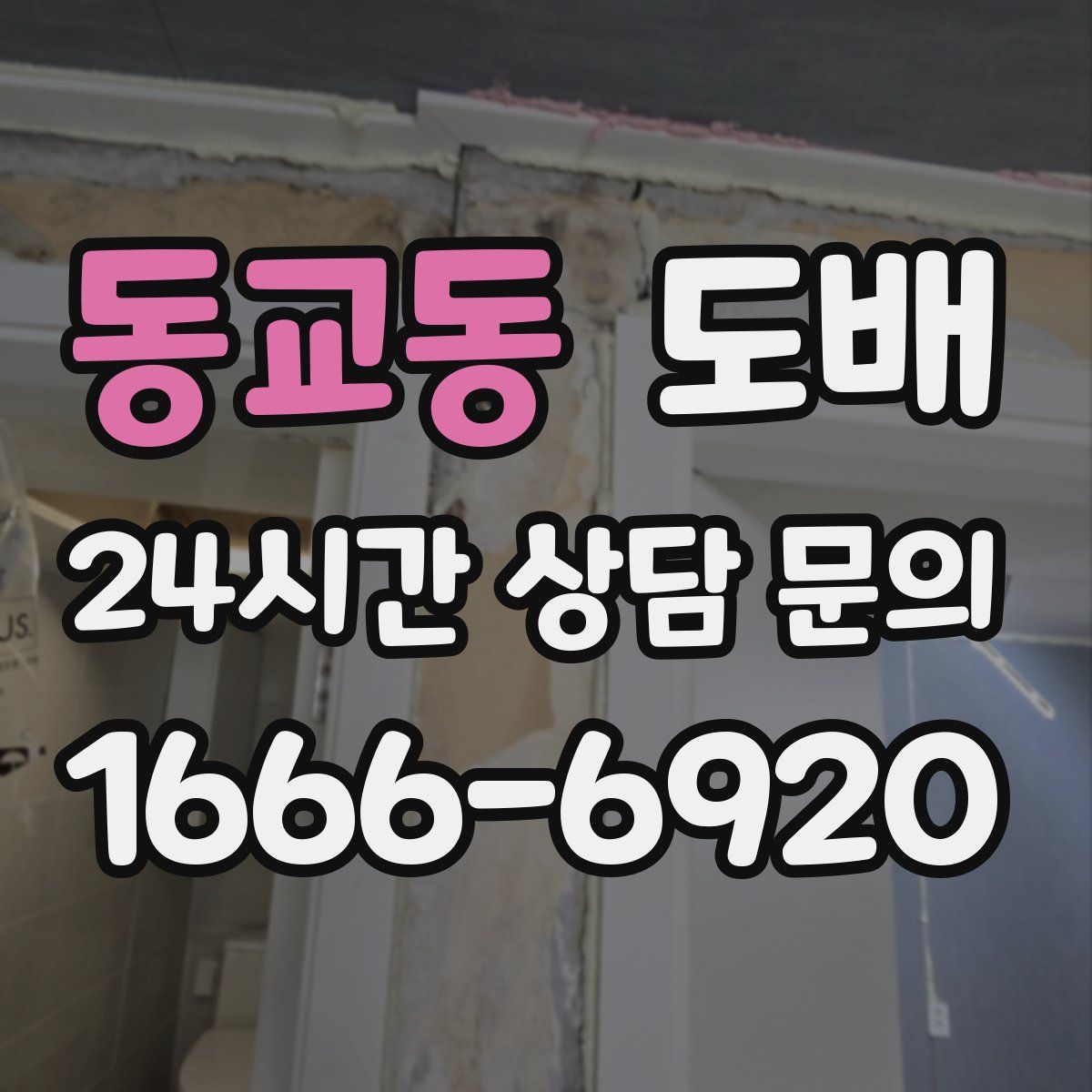 동교동 도배