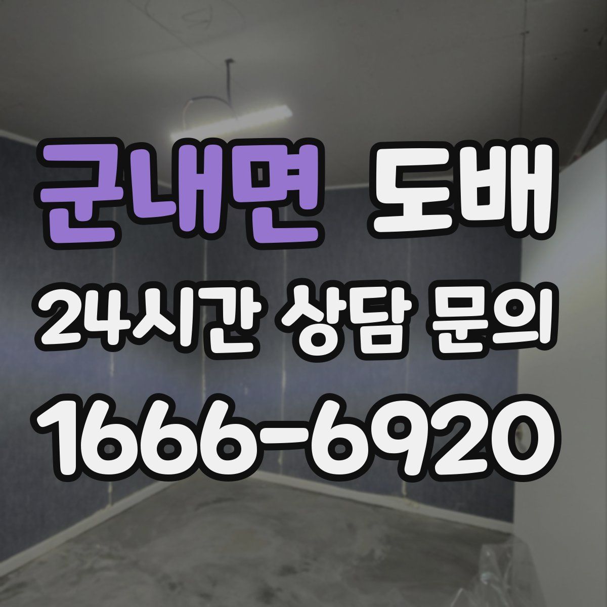 군내면 도배