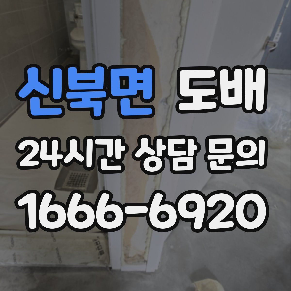 신북면 도배