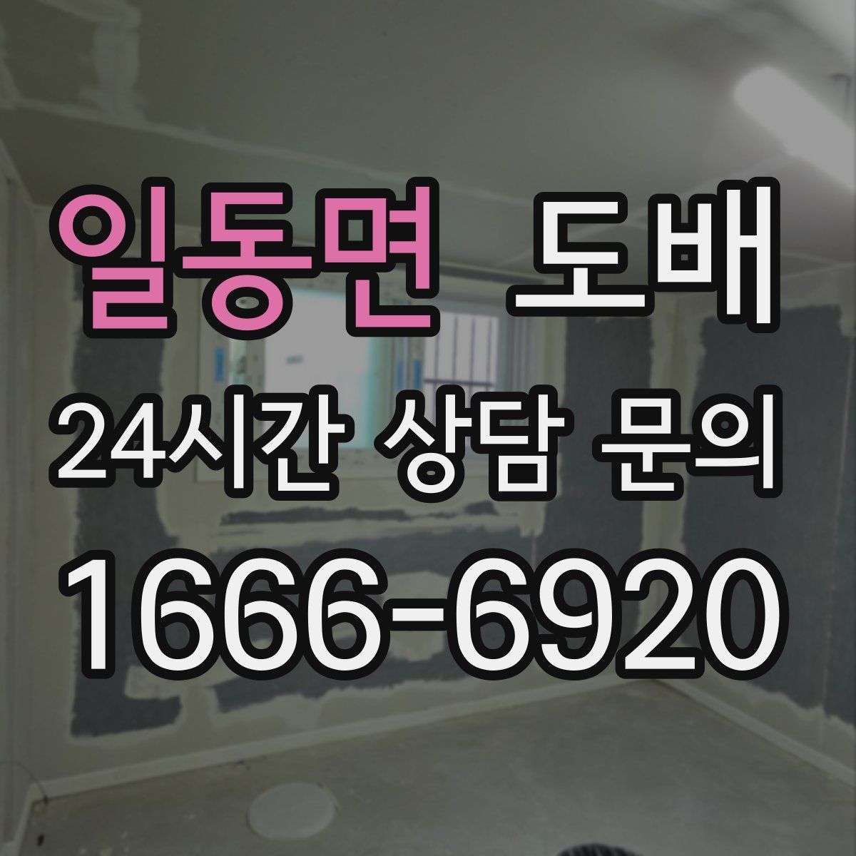 일동면 도배