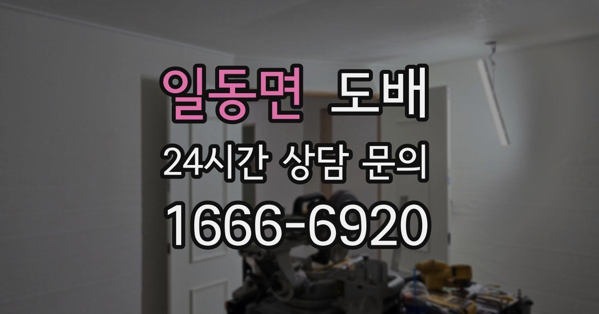 일동면 도배