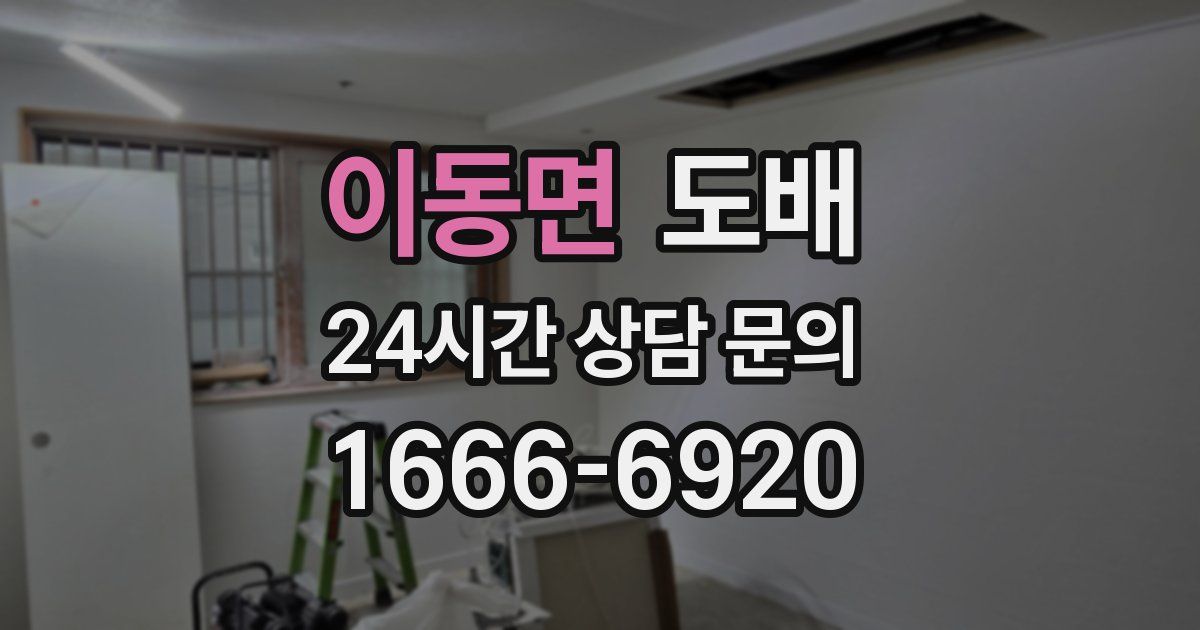 이동면 도배