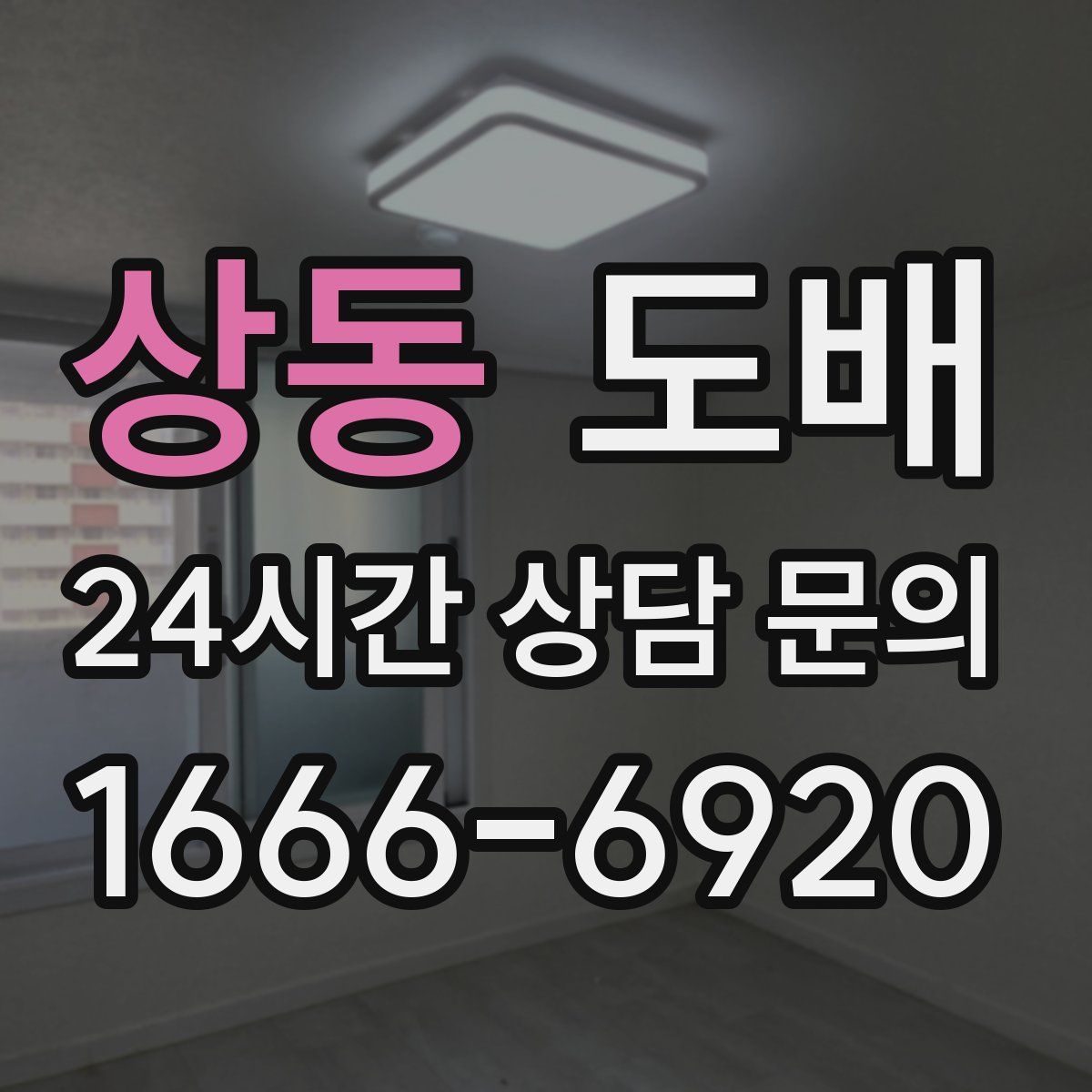 상동 도배