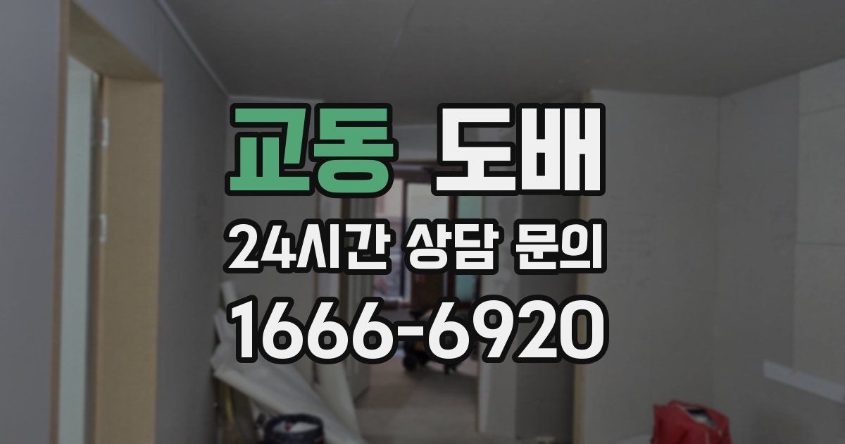 교동 도배