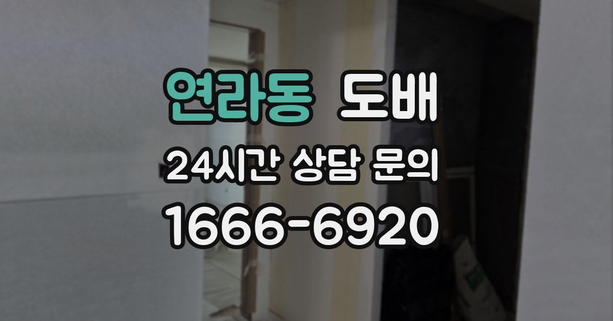 연라동 도배