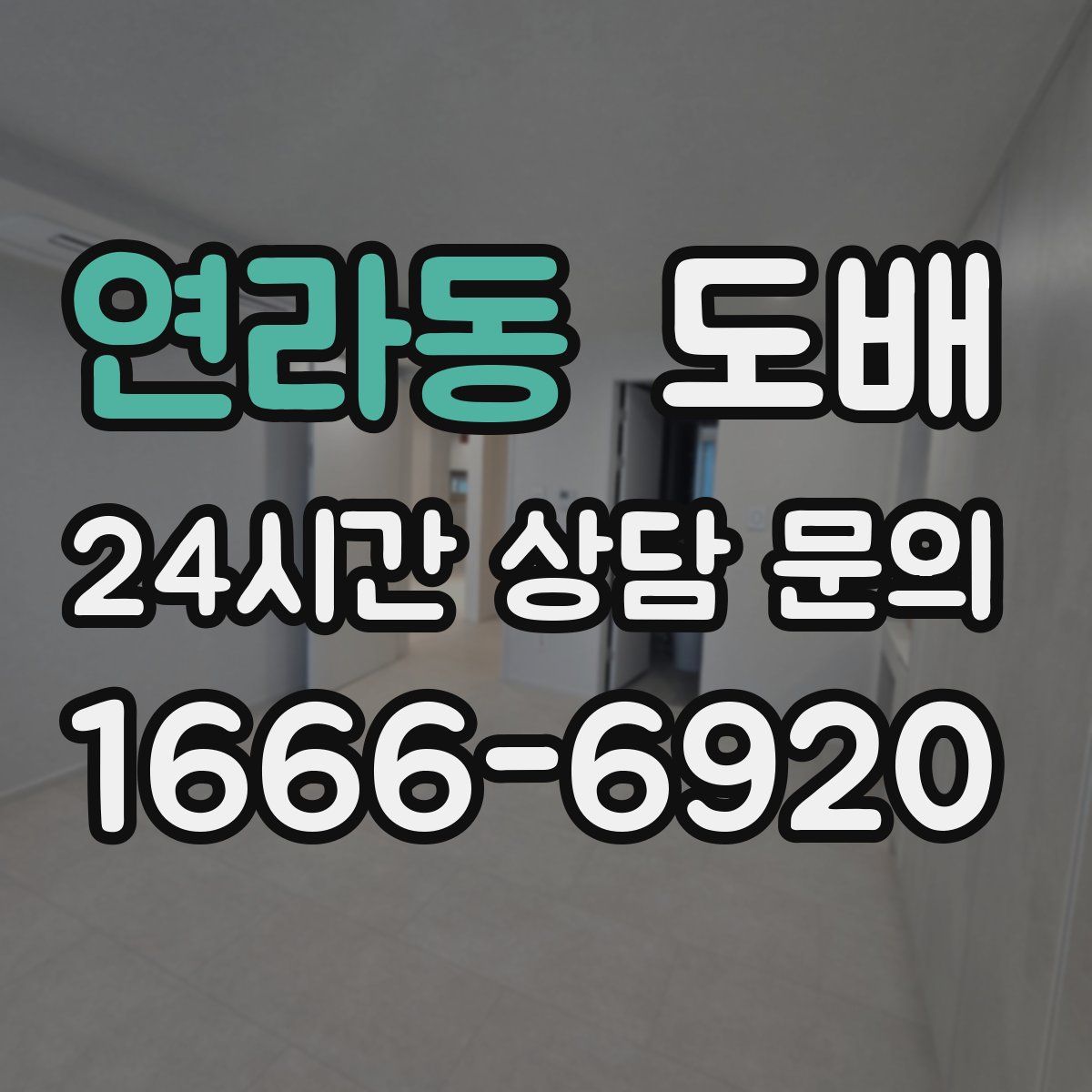 연라동 도배