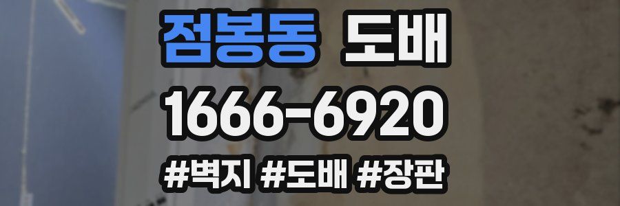 점봉동 도배