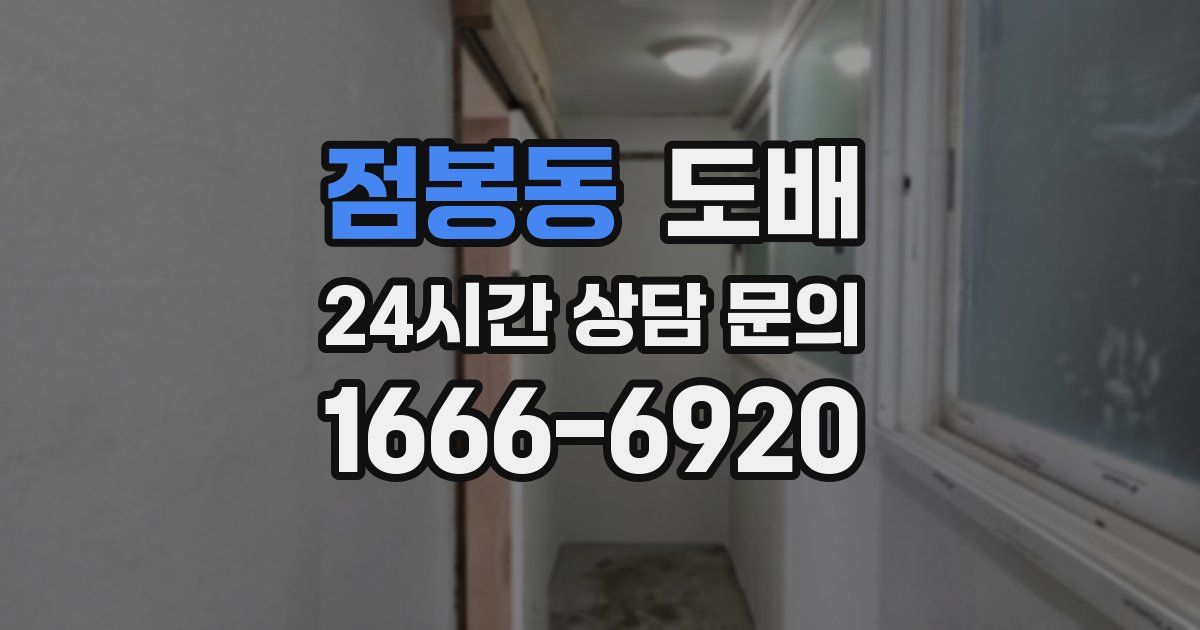 점봉동 도배