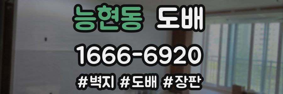 능현동 도배