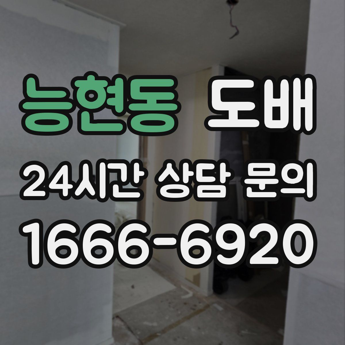 능현동 도배