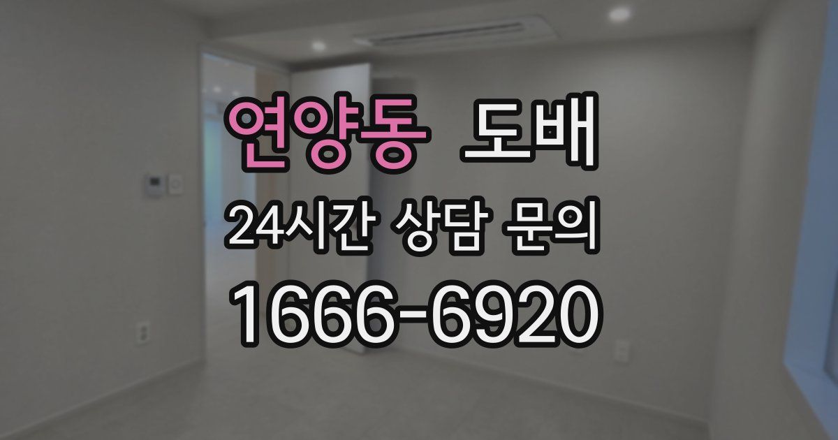 연양동 도배