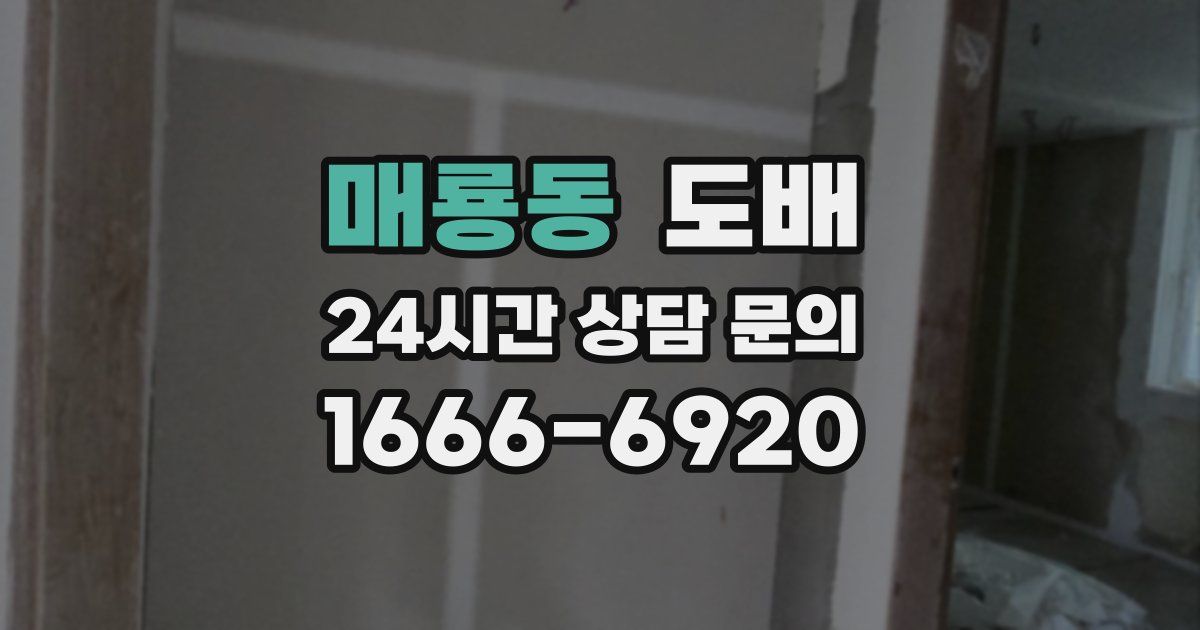 매룡동 도배