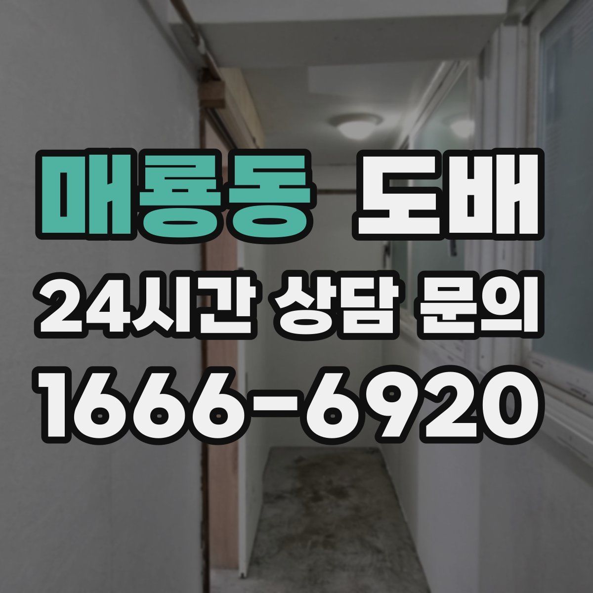 매룡동 도배