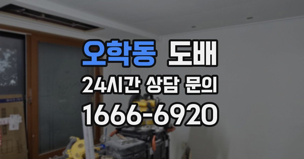 오학동 도배
