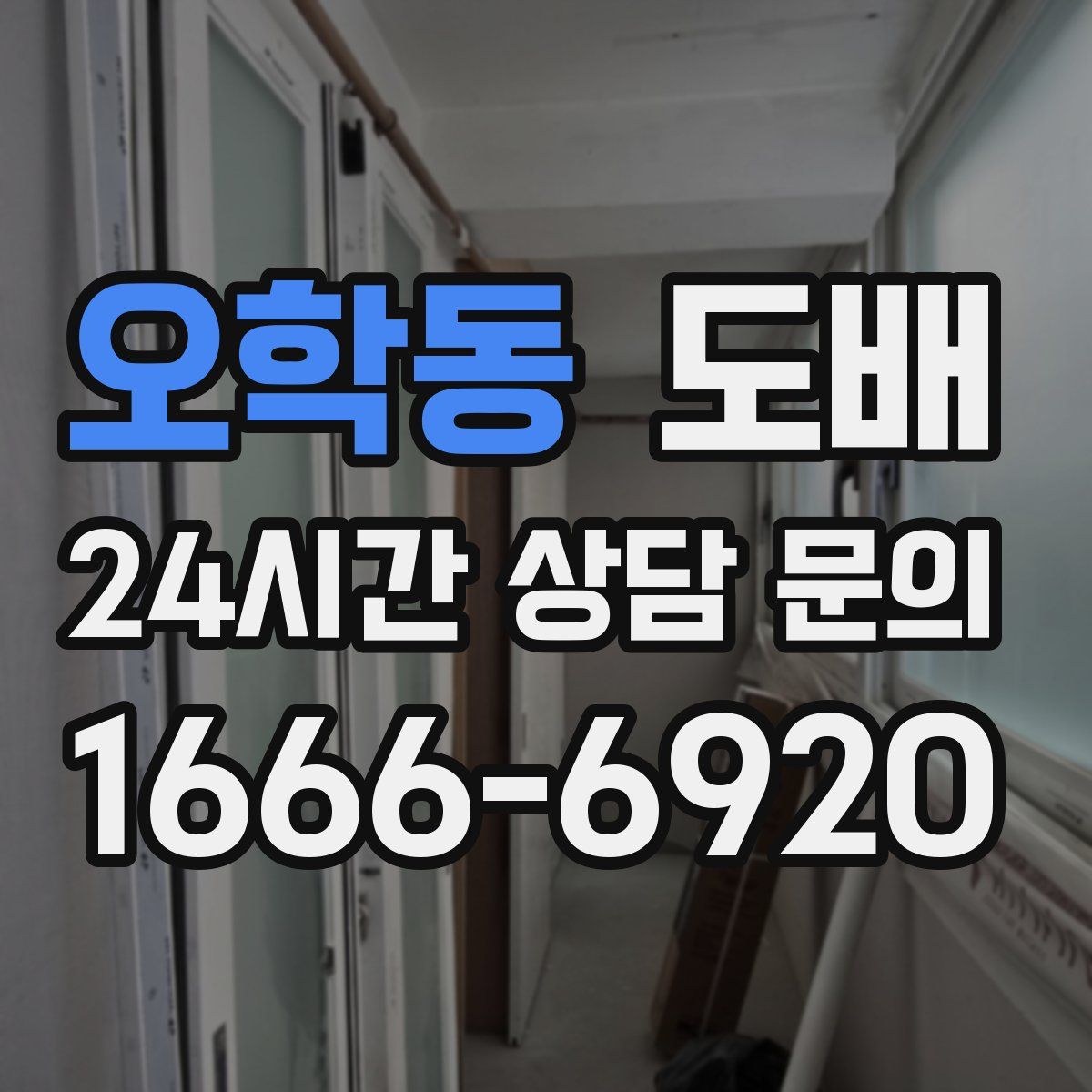 오학동 도배