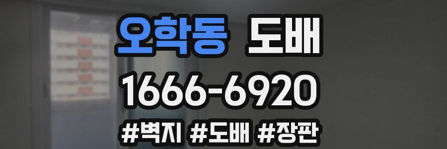 오학동 도배
