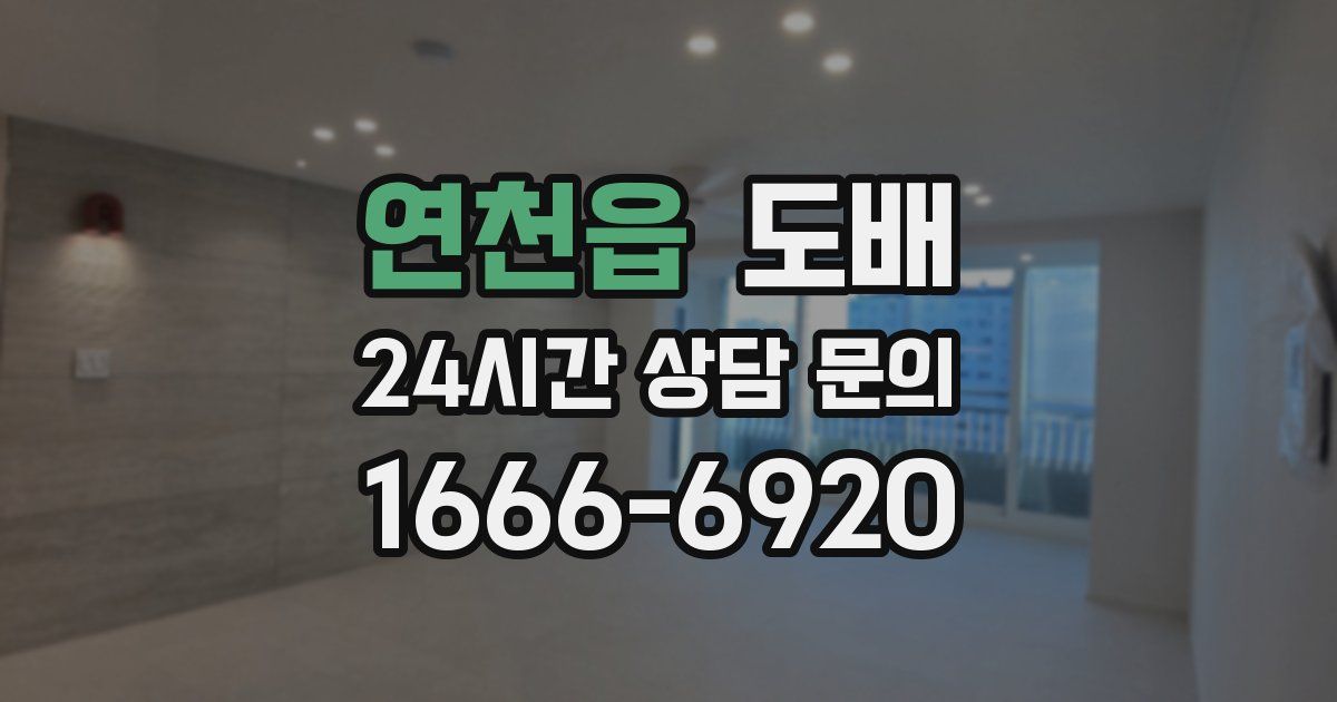 연천읍 도배
