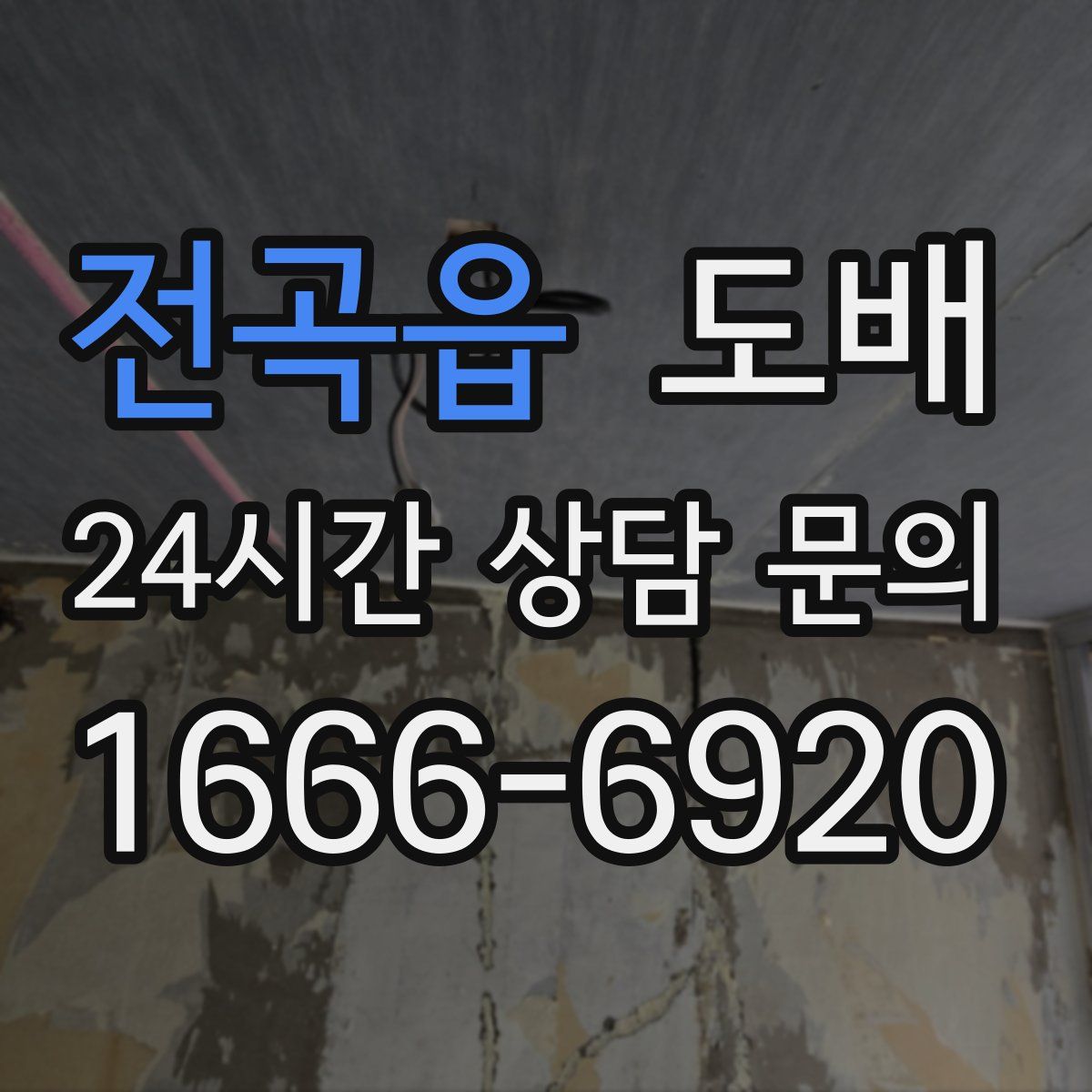 전곡읍 도배