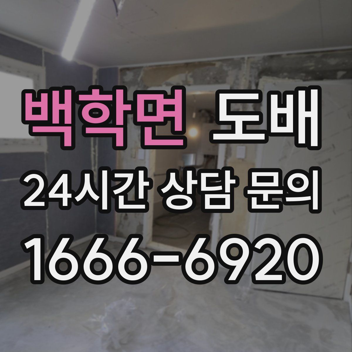 백학면 도배