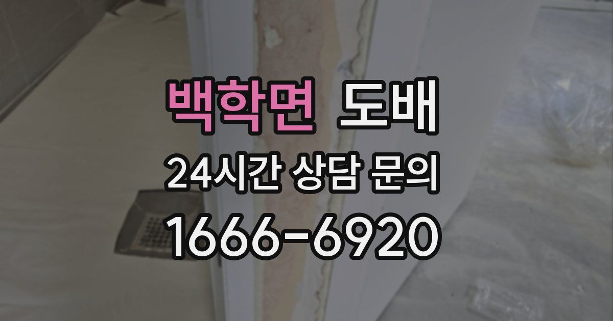 백학면 도배