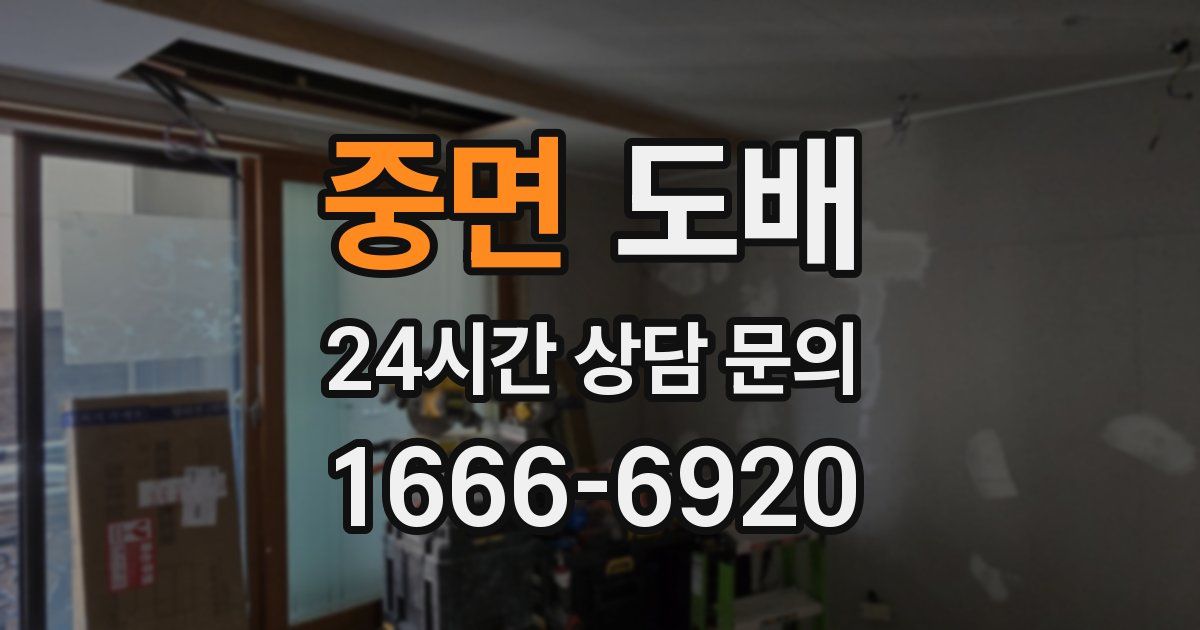 중면 도배