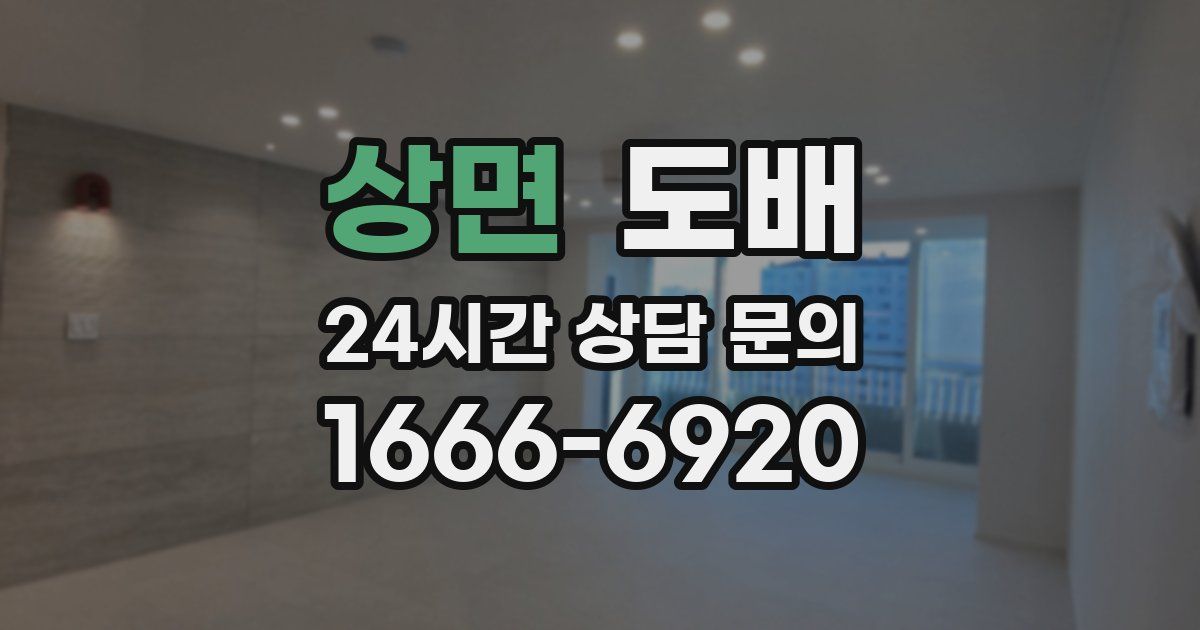 상면 도배