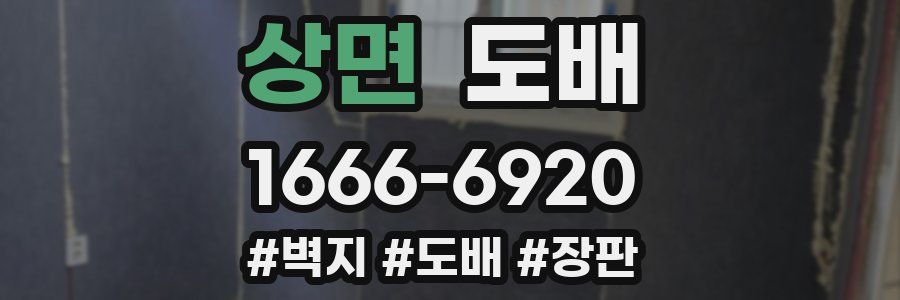 상면 도배