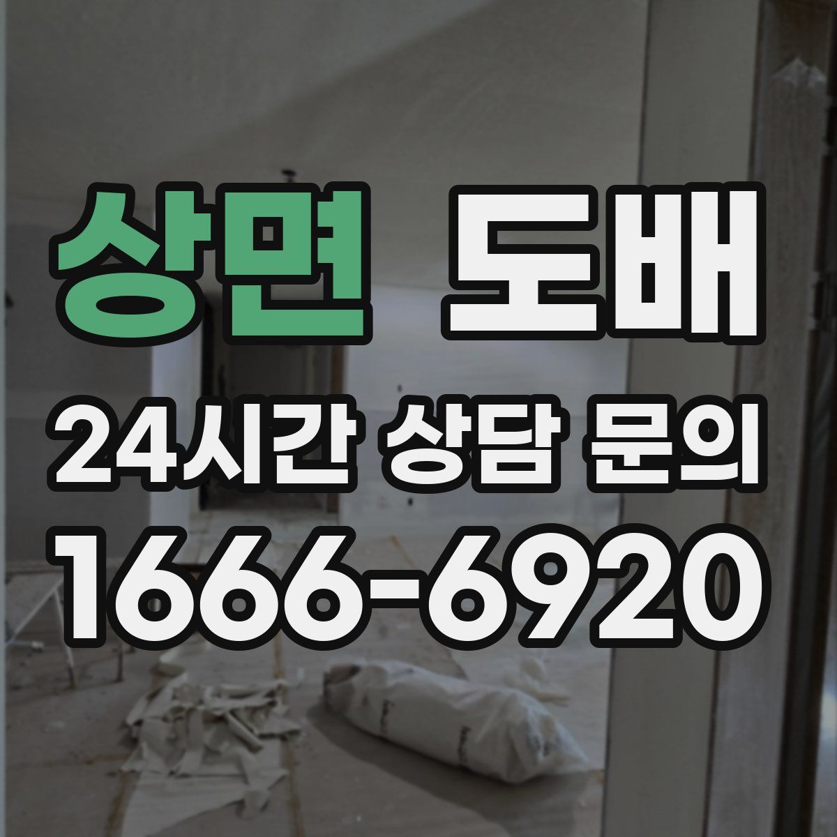 상면 도배