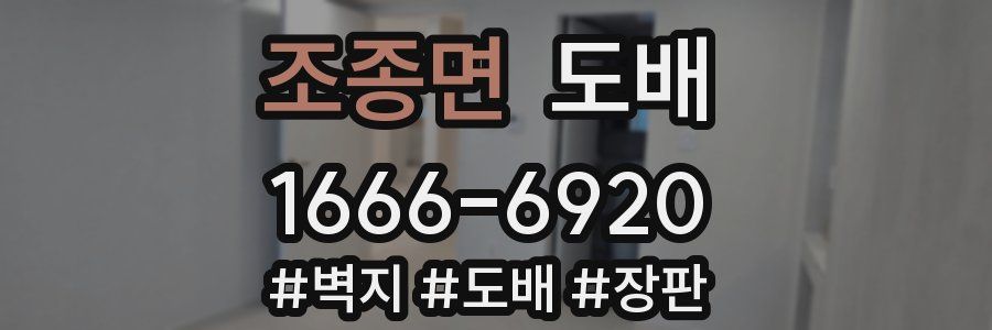 조종면 도배