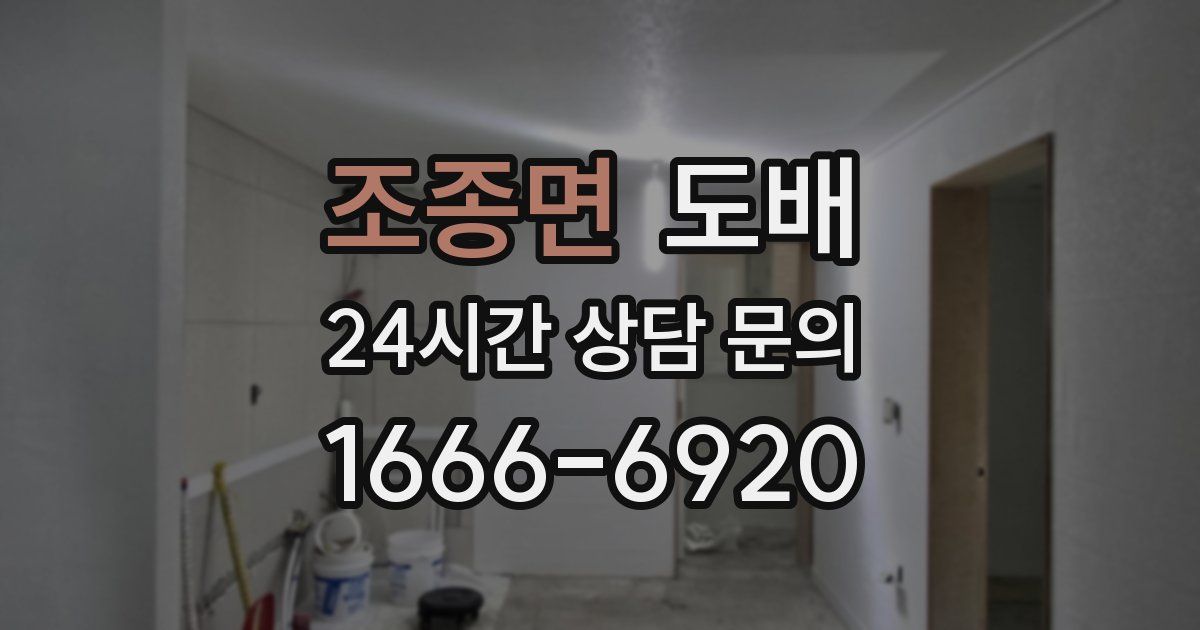 조종면 도배