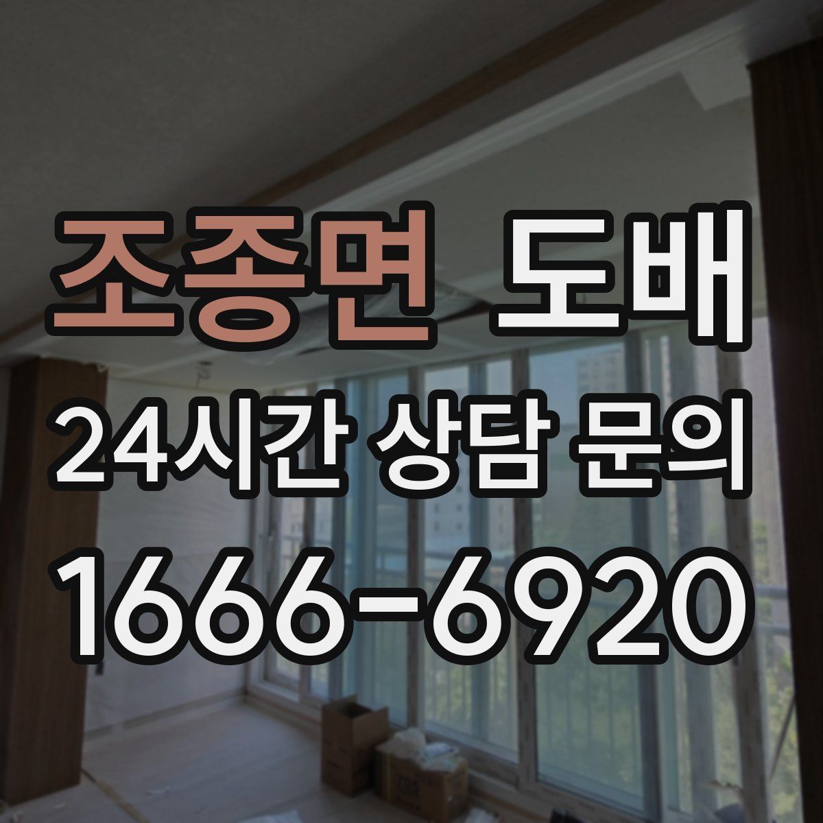 조종면 도배