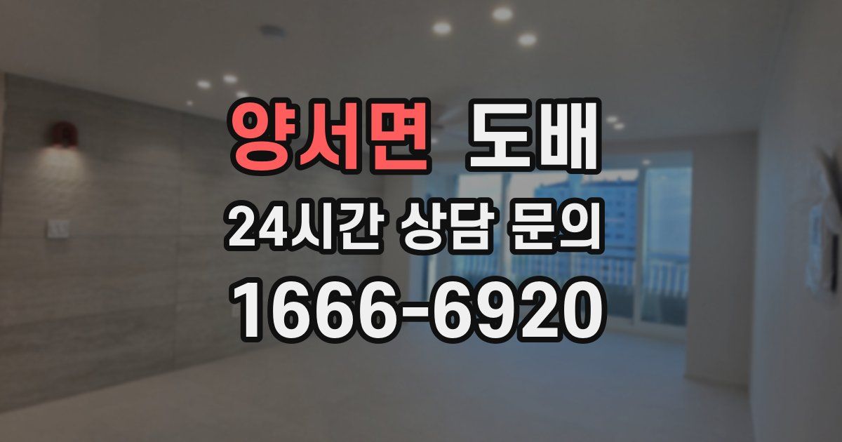 양서면 도배