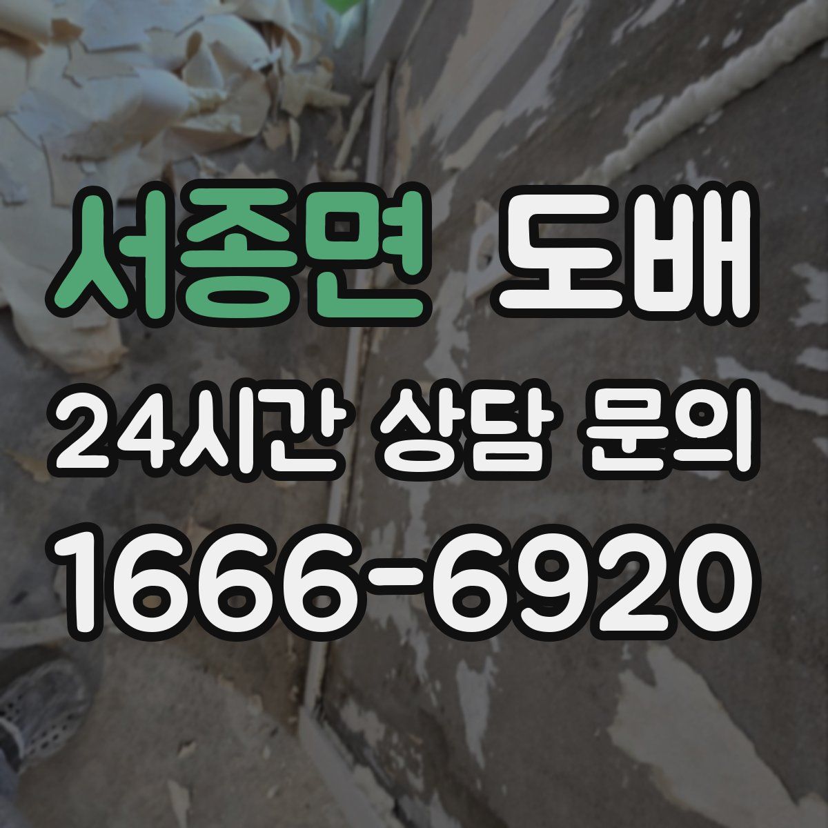 서종면 도배