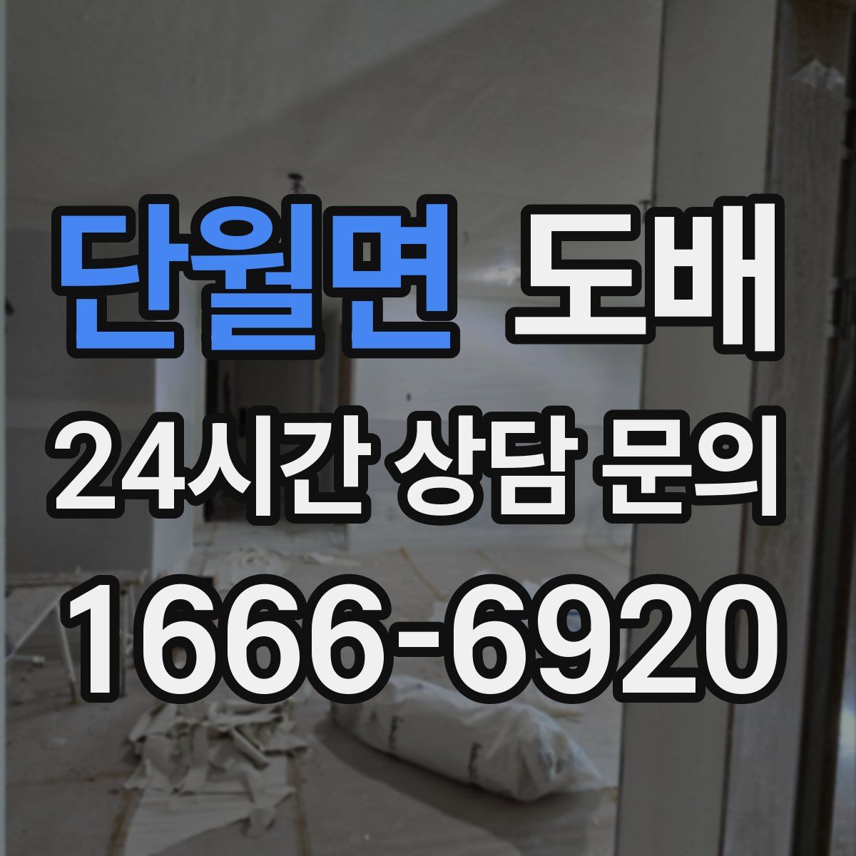 단월면 도배