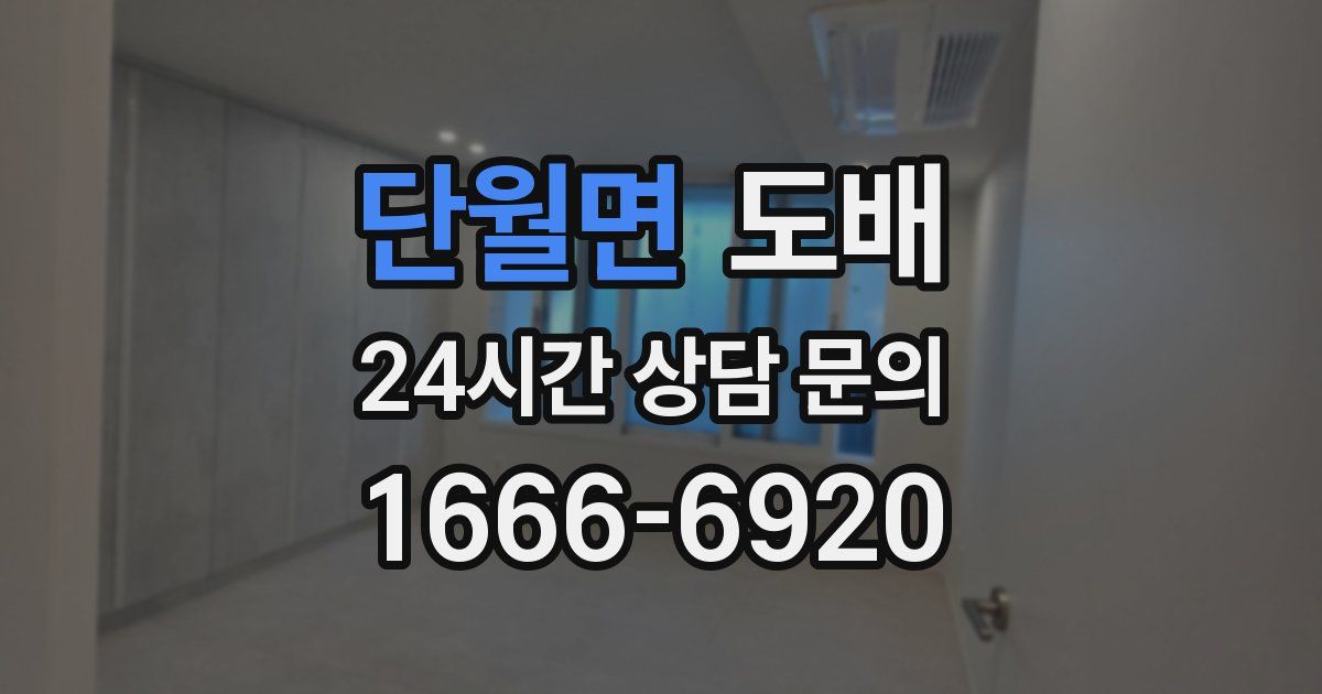단월면 도배