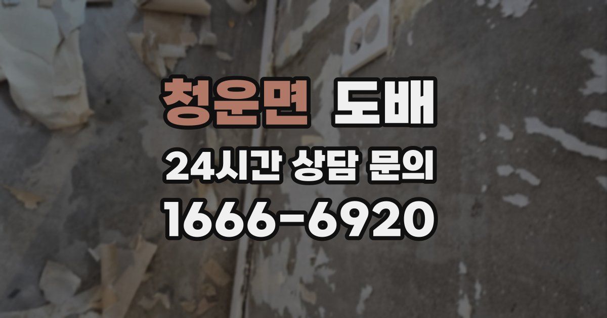 청운면 도배